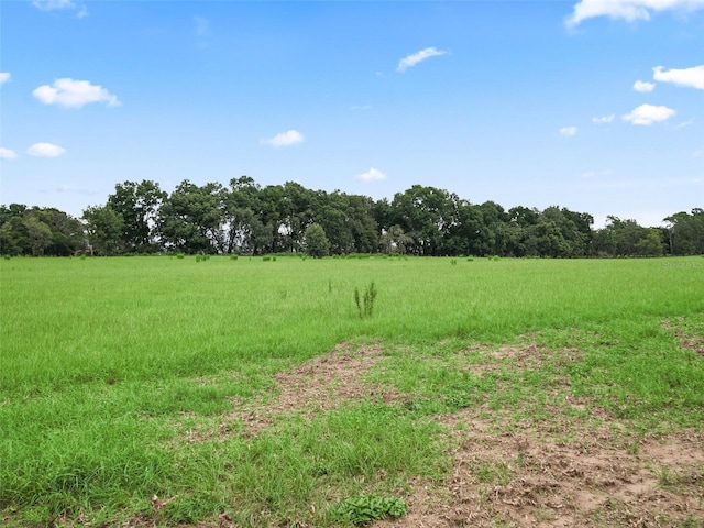 8567 Crk 635, Bushnell, FL 33513 - view of local wilderness with rural landscape
