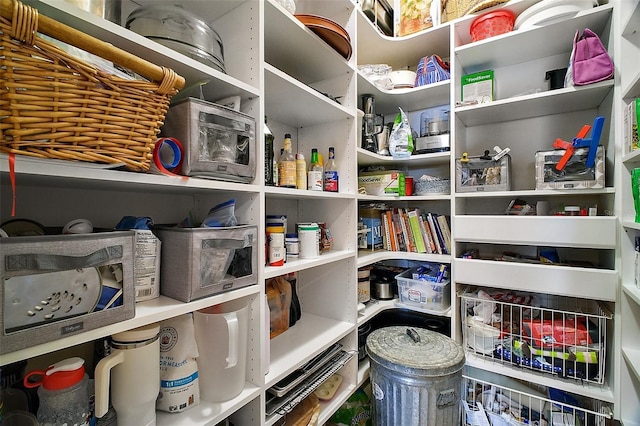 30230 Tokara Ter, Mount Dora, FL 32757 - view of pantry
