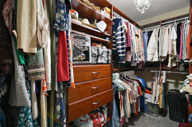 30230 Tokara Ter, Mount Dora, FL 32757 - spacious closet with carpet flooring