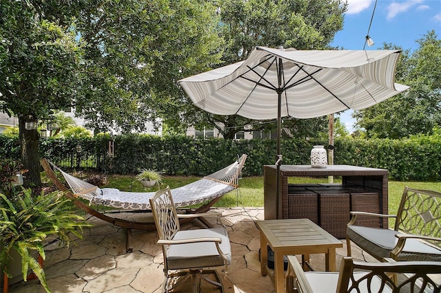 30230 Tokara Ter, Mount Dora, FL 32757 - fenced backyard with outdoor dining space and a patio area