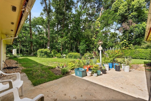 5268 Pinto Way, Orlando, FL 32810 - view of green lawn with a patio area