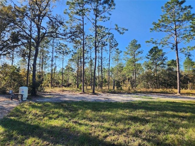 20723 SW Audubon Ave, Dunnellon, FL 34431 - photo 27
