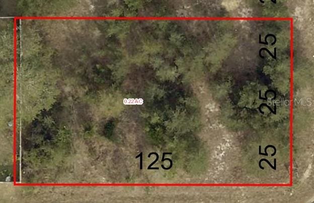 000 SE 88th Ave, Summerfield, FL 34491 - photo 4