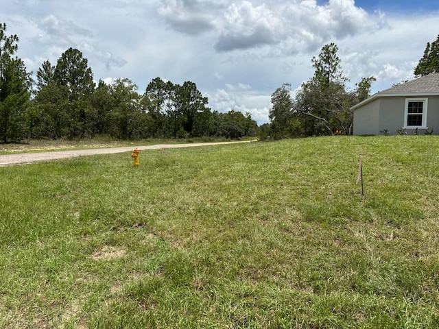 6805 N Sandborn Loop, Citrus Springs, FL 34433 - view of green lawn