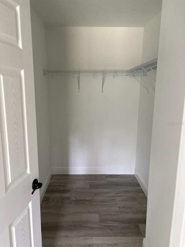 6805 N Sandborn Loop, Citrus Springs, FL 34433 - spacious closet with wood finished floors