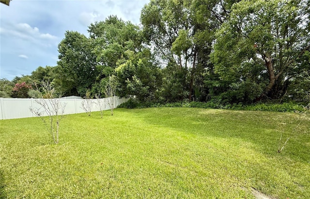 3360 Creek Run Ln, Eustis, FL 32736 - photo 20