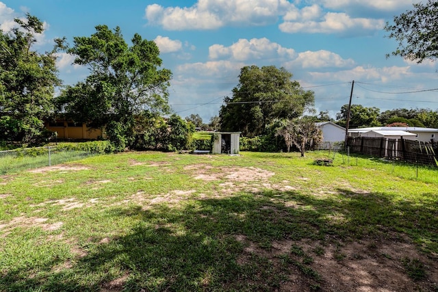 303 W Dicie Ave, Eustis, FL 32726 - view of yard