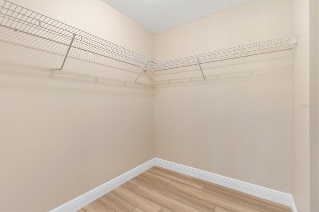 577 E Anderson Ave, Bushnell, FL 33513 - walk in closet featuring light wood finished floors