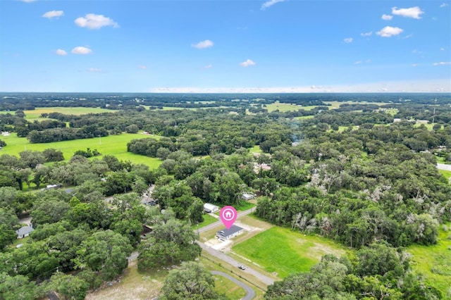 577 E Anderson Ave, Bushnell, FL 33513 - drone / aerial view of a forest