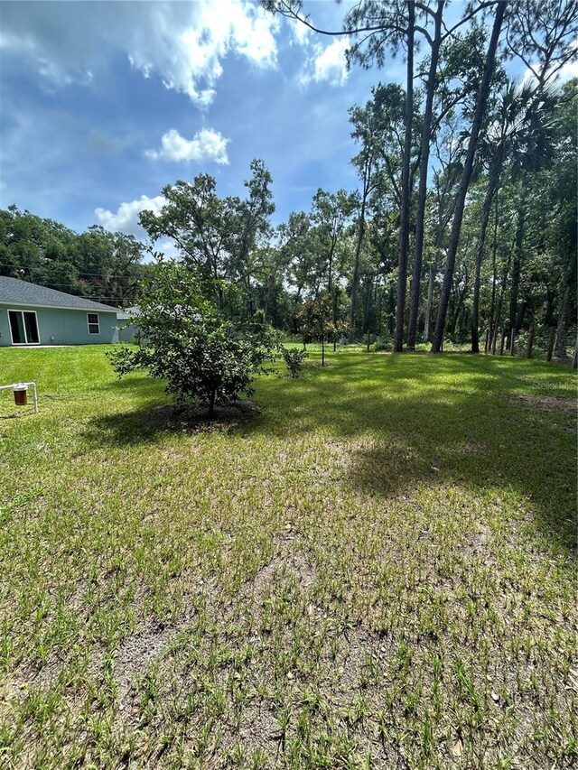 3888 SE 143rd Pl, Summerfield, FL 34491 - photo 8