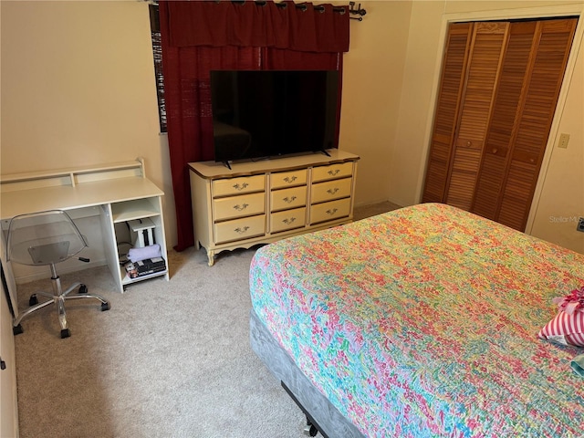 2747 County Road 615, Bushnell, FL 33513 - bedroom with carpet floors and a closet