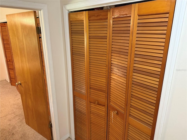 2747 County Road 615, Bushnell, FL 33513 - detailed view of carpet flooring