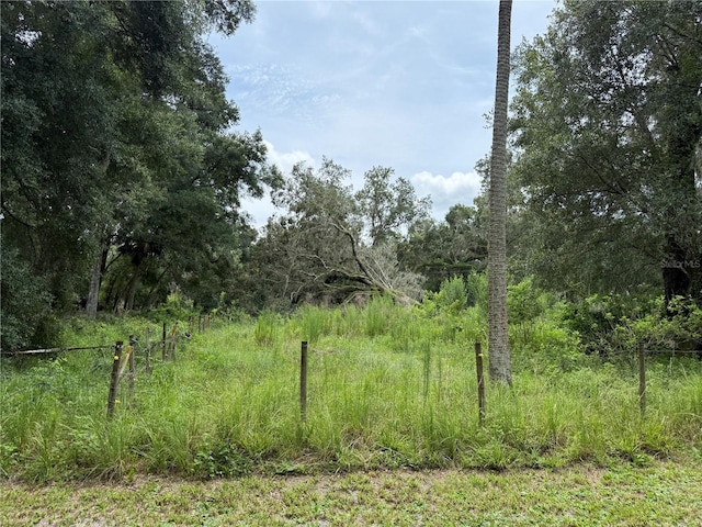 2747 County Road 615, Bushnell, FL 33513 - view of undeveloped land