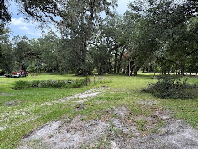 2747 County Road 615, Bushnell, FL 33513 - view of yard
