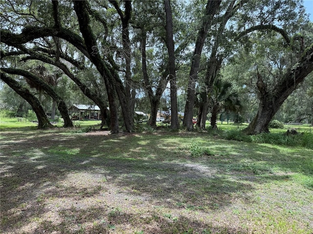 2747 County Road 615, Bushnell, FL 33513 - view of yard