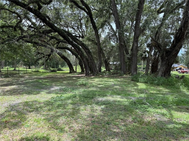 2747 County Road 615, Bushnell, FL 33513 - view of yard