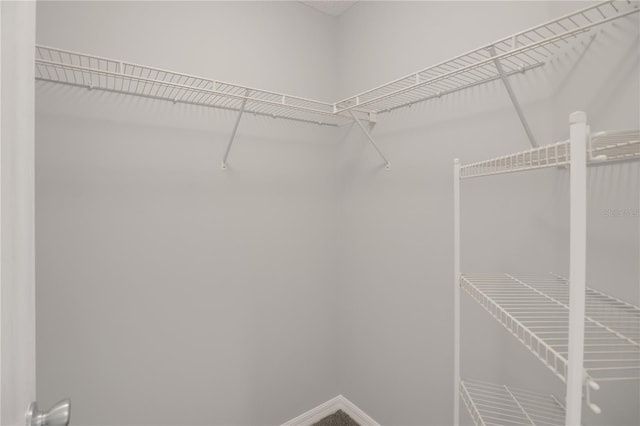 17707 SE 92nd Grantham Ter, The Villages, FL 32162 - view of spacious closet