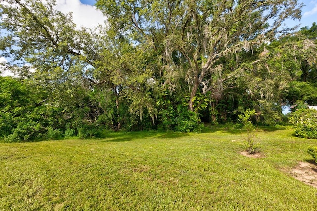 Country Club Rd, Eustis, FL 32726 - photo 1