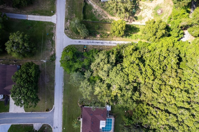Country Club Rd, Eustis, FL 32726 - photo 4