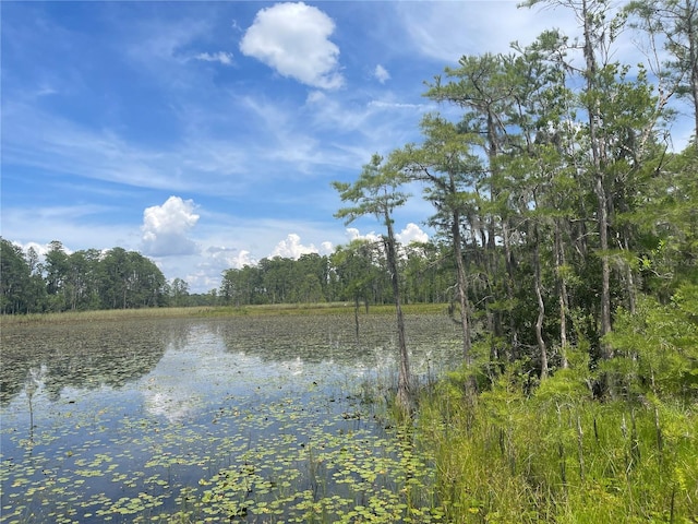 7752 Adonijah Way, Clermont, FL 34714 - photo 14
