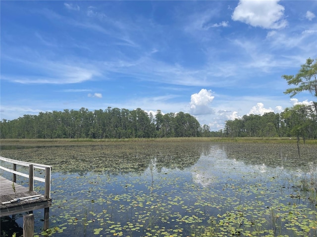 7752 Adonijah Way, Clermont, FL 34714 - photo 16