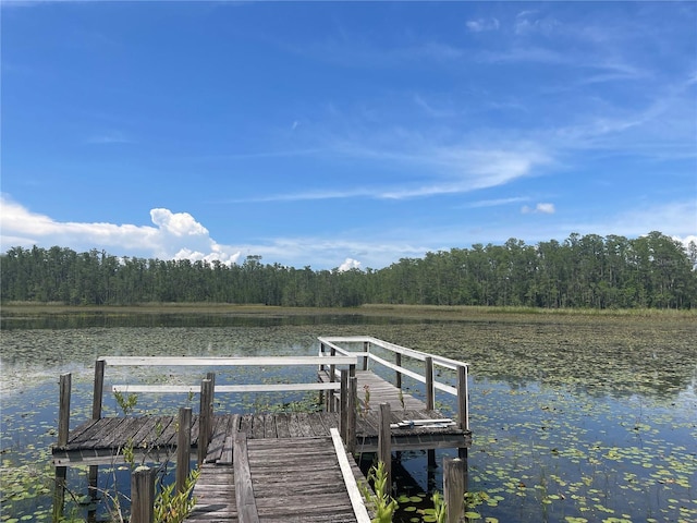 7752 Adonijah Way, Clermont, FL 34714 - photo 17