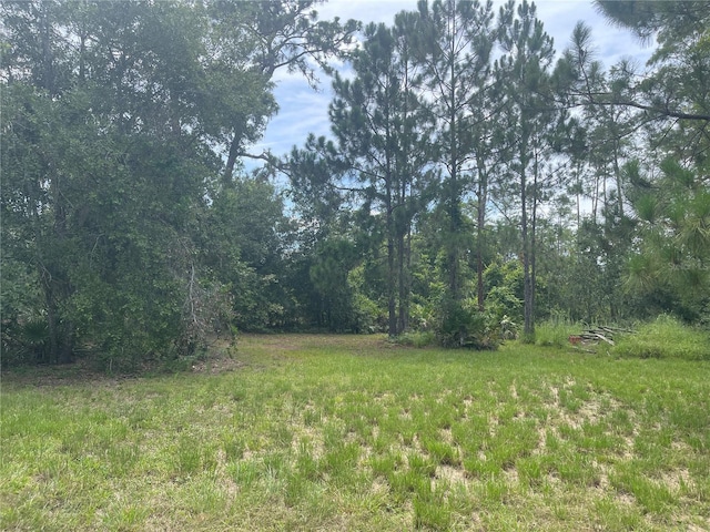7752 Adonijah Way, Clermont, FL 34714 - photo 20