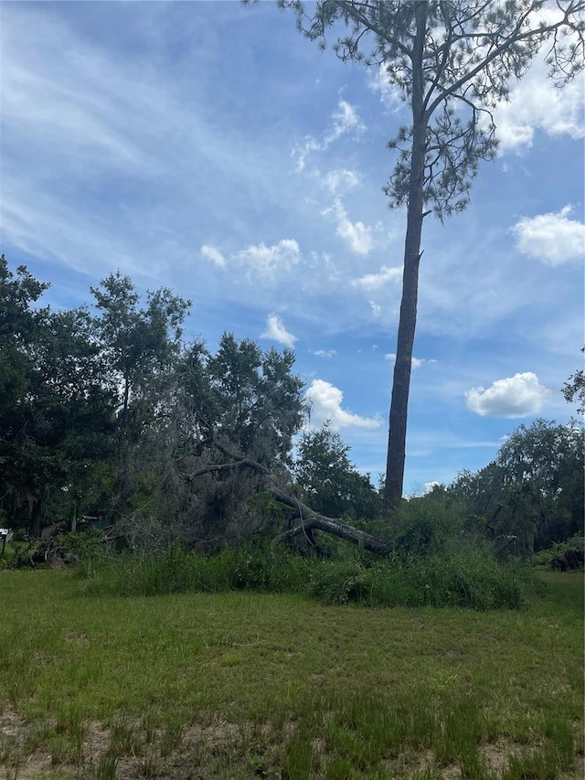 7752 Adonijah Way, Clermont, FL 34714 - photo 21