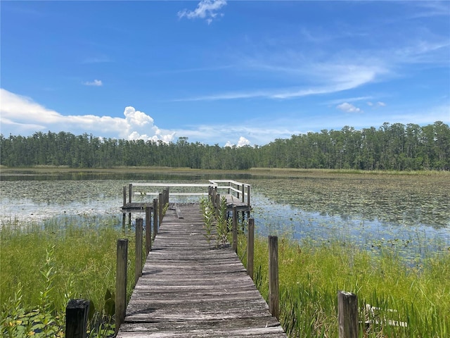 7752 Adonijah Way, Clermont, FL 34714 - photo 2