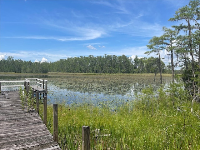 7752 Adonijah Way, Clermont, FL 34714 - photo 3