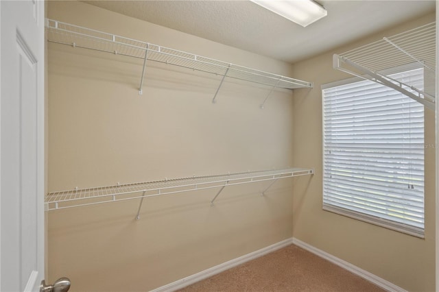 2215 Natoma Blvd, Mount Dora, FL 32757 - spacious closet with carpet floors