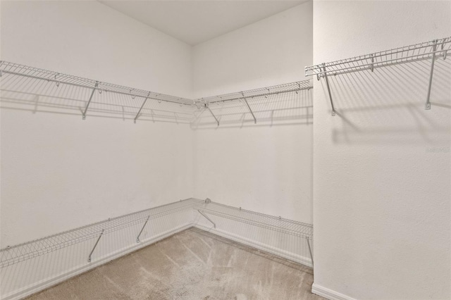 1504 Finchburg St, Minneola, FL 34715 - spacious closet with light colored carpet