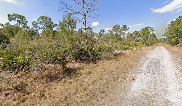 1256 Kumquat St, Lake Placid, FL 33852 - photo 1
