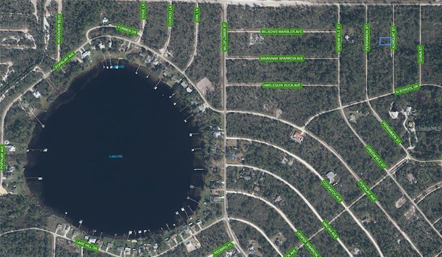 1256 Kumquat St, Lake Placid, FL 33852 - photo 3