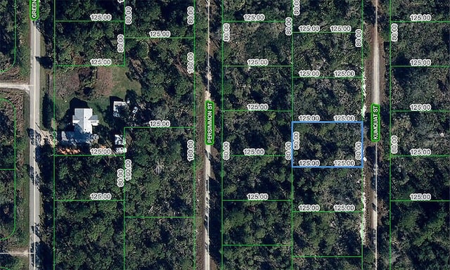1256 Kumquat St, Lake Placid, FL 33852 - photo 4