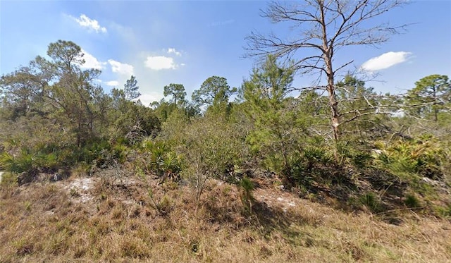 1256 Kumquat St, Lake Placid, FL 33852 - photo 9