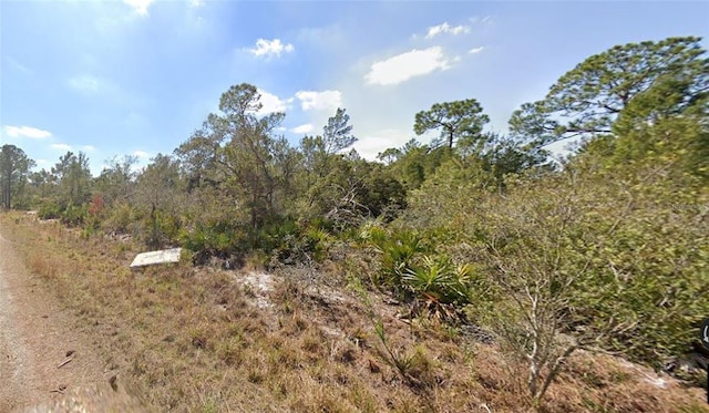 1256 Kumquat St, Lake Placid, FL 33852 - photo 10