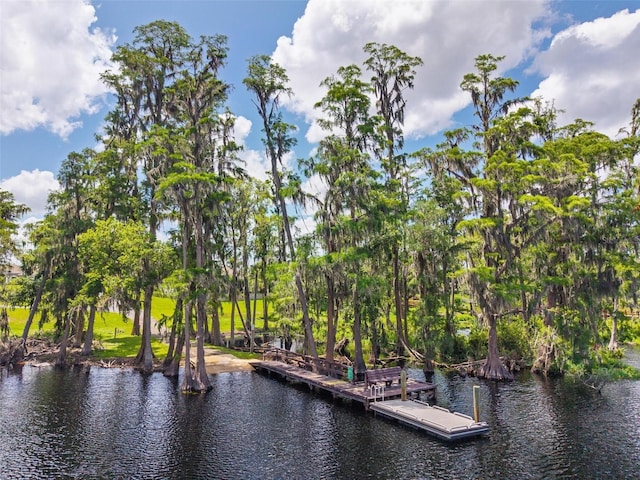 11218 Crooked River Ct, Clermont, FL 34711 - photo 82