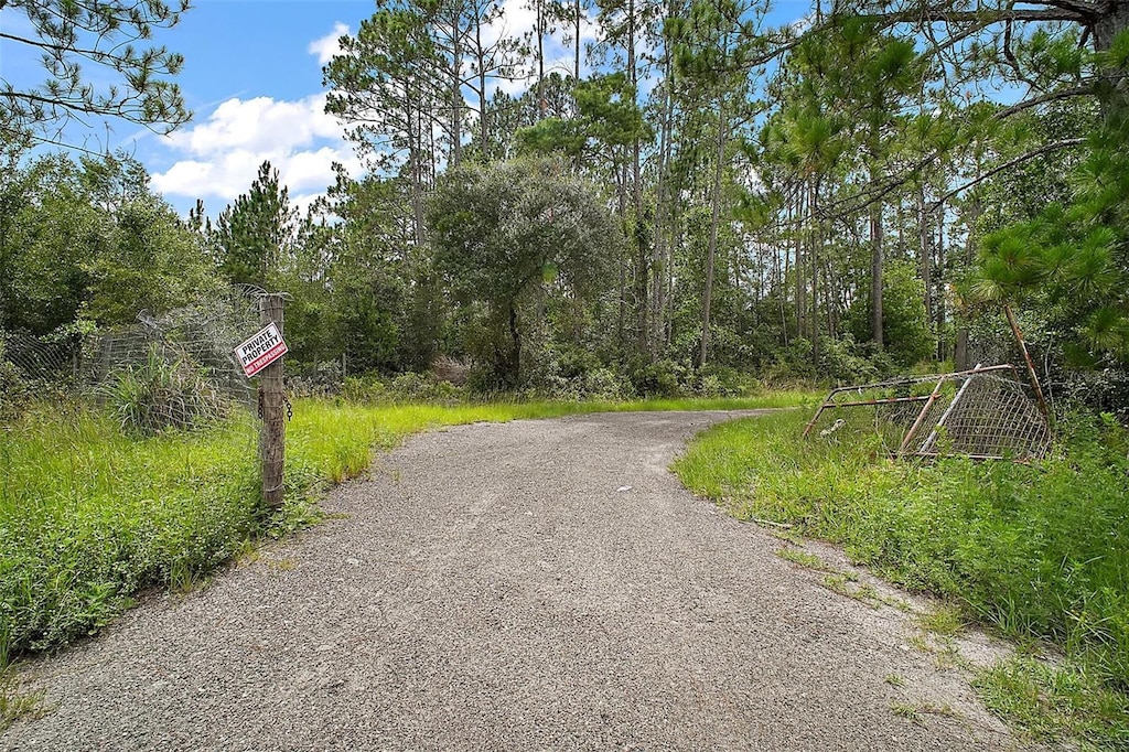 52151 State Road 19, Altoona, FL 32702 - photo 1
