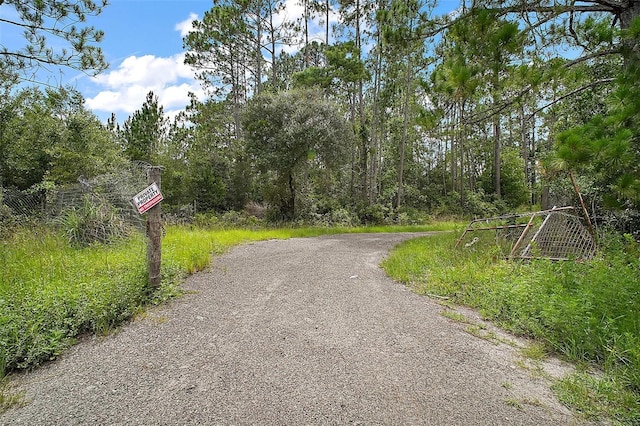52151 State Road 19, Altoona, FL 32702 - photo 1