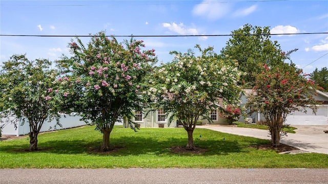 11746 Oswalt Rd, Clermont, FL 34711 - view of property hidden behind natural elements featuring a front lawn and driveway