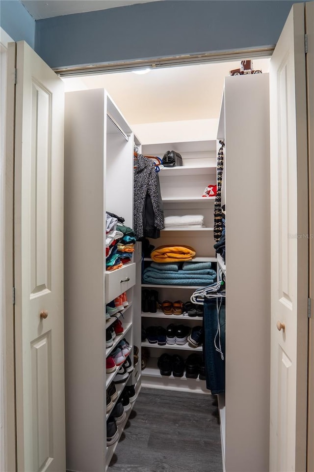 1244 Grandview Cir, Royal Palm Beach, FL 33411 - view of closet