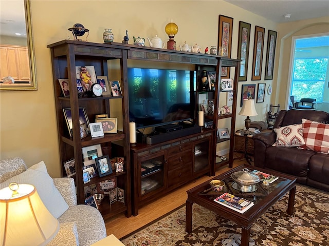 8301 Bridgeport Bay Cir, Mount Dora, FL 32757 - living area featuring wood finished floors
