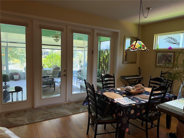 8301 Bridgeport Bay Cir, Mount Dora, FL 32757 - dining space featuring healthy amount of natural light, french doors, and wood finished floors