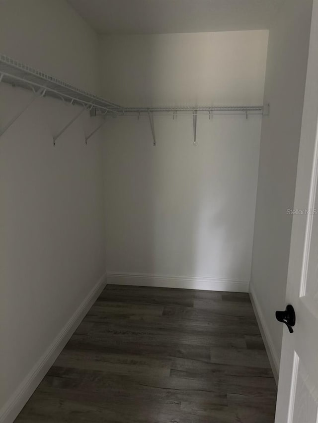 3838 W Baton Ln, Citrus Springs, FL 34433 - walk in closet with dark wood-style floors