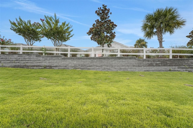 983 Fiesta Key Cir, Lady Lake, FL 32159 - view of yard