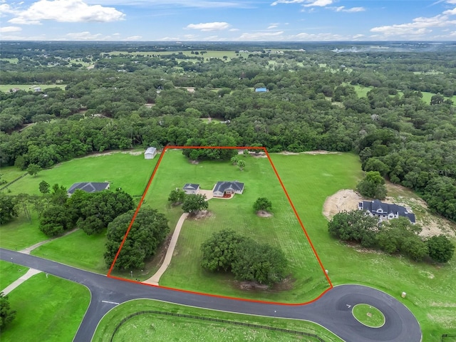 41525 Saddle Ridge Ln, Weirsdale, FL 32195 - photo 4