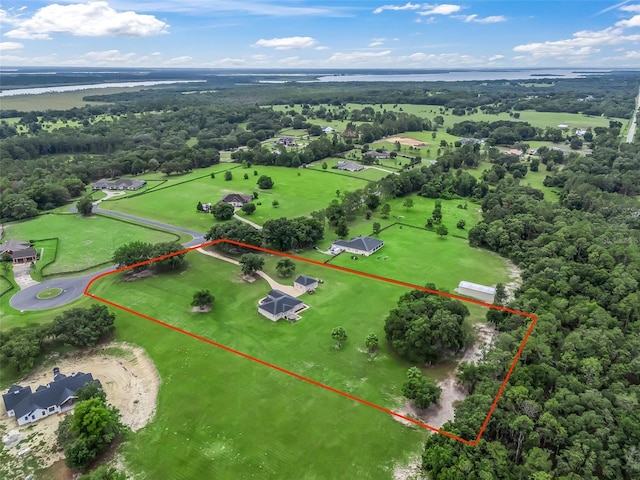 41525 Saddle Ridge Ln, Weirsdale, FL 32195 - photo 5