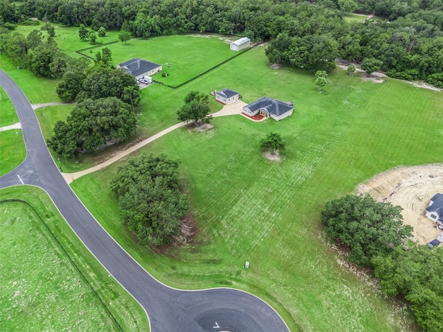 41525 Saddle Ridge Ln, Weirsdale, FL 32195 - photo 68