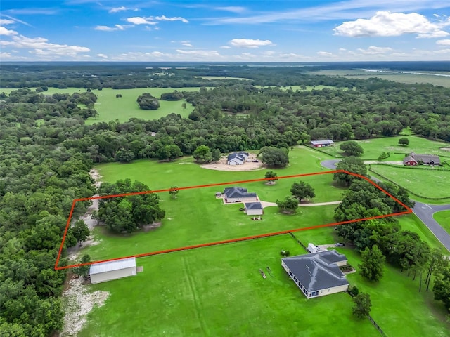 41525 Saddle Ridge Ln, Weirsdale, FL 32195 - photo 70